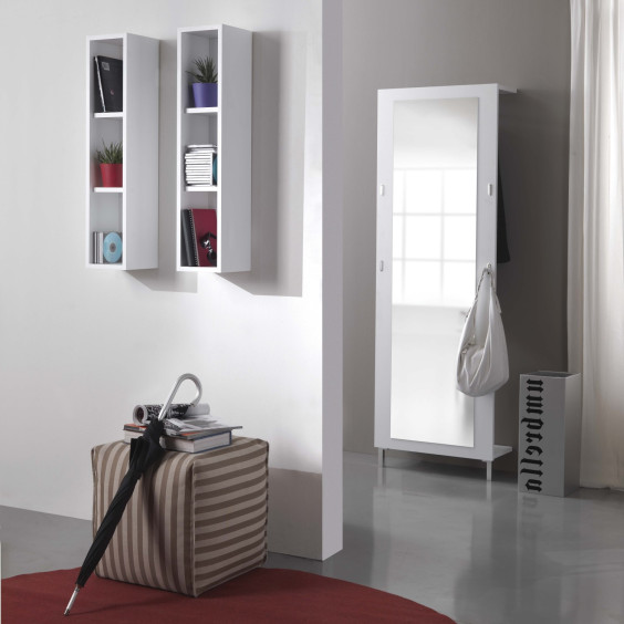 Wall mounted small bookcase and cd cabinet