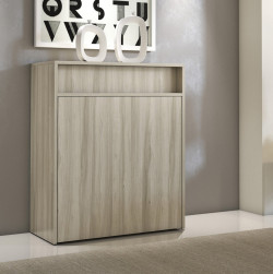 The cupboard contains a foldable single bed and has a liftable table top integrated in the front panel