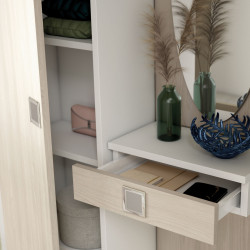 Detail: drawer and inside of the cabinet equipped with shelves
