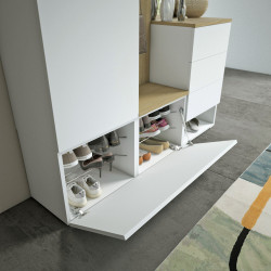 Horizontal shoe cupboard with a flip down door