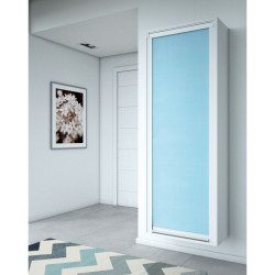 Space saving wall shoe cabinet