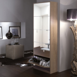 Pull down mirrored 5-door shoe cabinet with double shoe layers